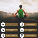 Shilajit Gel de résine biologique pure himalayenne — Energy Boost, Digestive Health & Immune Support — Trace Minerals Natural Black Shilajit pour hommes et femmes — Riche en acide fulvic, fer, magnésium (60 grammes)