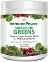 Revitalize Your Wellness Organic Greens and Reds Superfood Powder for Vibrant Health