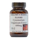 Extrait de Cynomorium Songaricum 10:1.600mg Par Capsule.