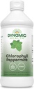 Santé dynamique Chlorophylle liquide menthe poivrée 100 mg, Cuivre de sodium Chlorophyllines avec Alfalfa et Mulberry feuilles, nettoyage des plantes et désodorisant, Pas de sucre ajouté, 16 Fl Oz