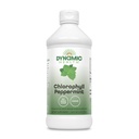 Santé dynamique Chlorophylle liquide menthe poivrée 100 mg, Cuivre de sodium Chlorophyllines avec Alfalfa et Mulberry feuilles, nettoyage des plantes et désodorisant, Pas de sucre ajouté, 16 Fl Oz