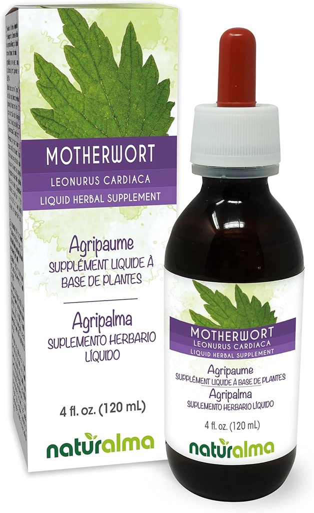 Naturalma Motherwort (Leonurus caricata) herbe avec fleurs Teinture sans alcool - 4 fl oz Extrait liquide dans les gouttes - Supplément à base de plantes - Vegan