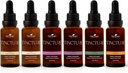 Thérapie végétale Teintures organiques Set débutant 30 mL de chaque ashwagandha biologique, ginseng asiatique, mélange d'échinacée, fraise, baume de citron et curcuma