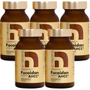 Fucoidan Powered with AHCC® Brown Seaweed Immunity Supplement with High Purity Organic Mekabu Mozuku Agaricus 5 Bouteilles - 800 capsules végétales Fabriqué au Japon