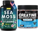 Bougie monohydratée de la mousse de mer et de la créatine 270 Nombre – Huile de graines noires de la mousse de mer biologique Aşhwagandha Ginger & Créatine Monohydrate (2 Pack)