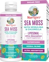 MaryRuth Organics Sea Moss with Spirulina and Chlorella Liposomal | Chlorophyll | Dandelion Root | Superfood | Ultra Absorption | Vegan | Non-GMO | Gluten Free | 7.6 fl oz | 15 Servings