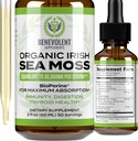 Bénévolent Nourriture Bio Irish Sea Moss Drops 2oz - Root, Bladderwrack et BioPerine [Ultra Strength] 30 000mg Sea Moss Liquid Drops for Imune Support, Thyroïde, Gut, Skin & Joint Health
