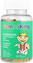 Gummi King Echinacea Plus supplément de zinc vitamine-C, fraise/lemon/orange/grape/herry/grapefruit, 60 Nombre