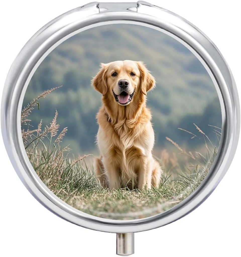 Boîte à pilules ronde Golden Retriever Dog Imprimé 3 Compartiment petit cas de pilule Portable Pill Conteneur pour tenir des suppléments Vitamines Huile de poisson Médicaments