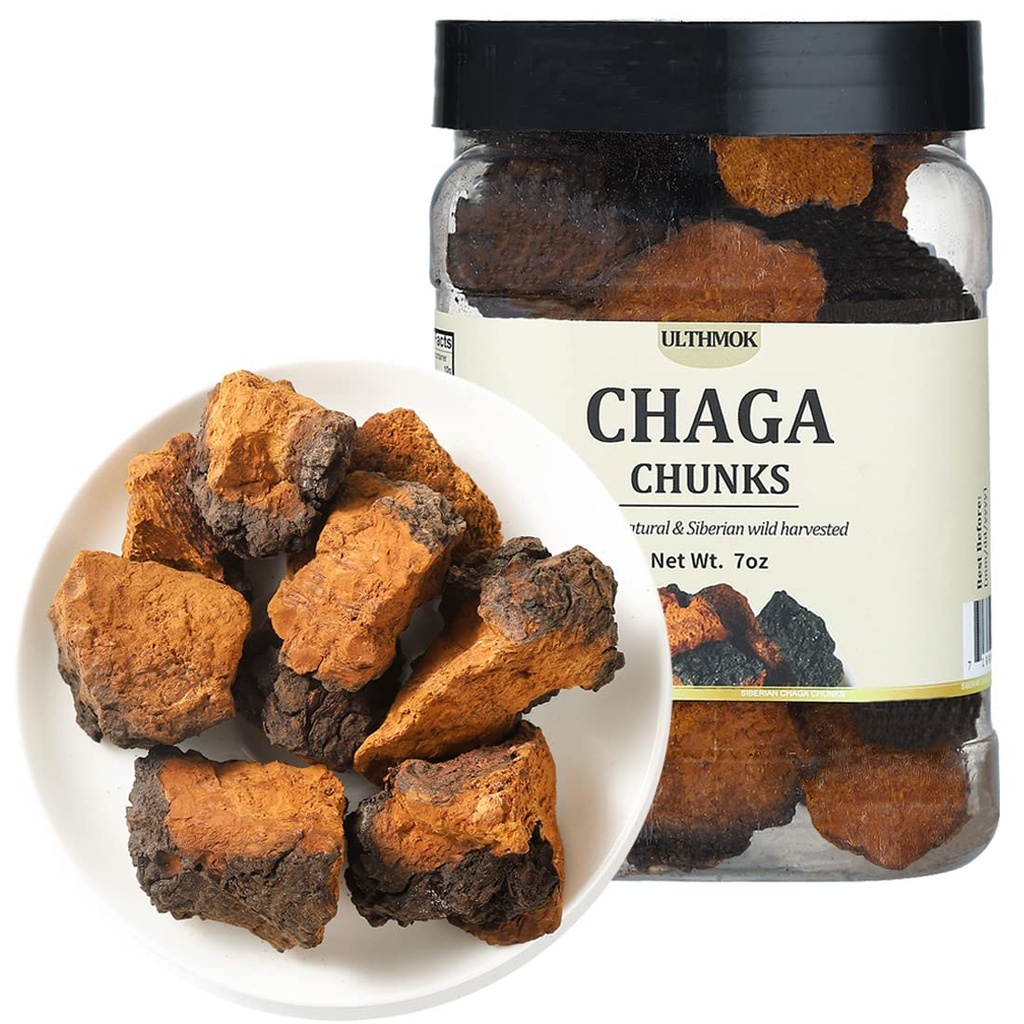 Premium Chaga Mushroom Chunks 7 Oz/199g,Sélectionné Thé Chaga Mushroom naturel,100% Sibérie Sauvage Récolté.