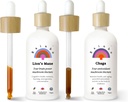 Rainbo Mushroom Bundle, Lion's Mane Mushroom Extract + Chaga Mushroom Tecture, Dual Extract Daily Mushroom Tectures pour un support immunitaire complet, Vegan Liquid Mushroom Suppléments