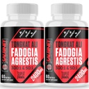 2400mg Fadogia Agrestis Tongkat Ali Suppléments - Tiers testés - 1400mg Fadogia Agrestis & 1000mg Tongkat Ali, Force maximale, Masse musculaire et performance sportive, 2 paquets