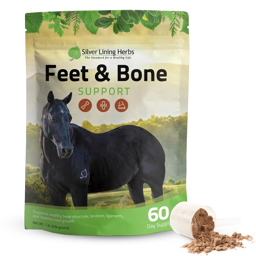 Herbes argentées Pieds et os Support Cheval Supplément Poudre Tendons naturels, Ligaments et tissus environnants et complément de toit pour chevaux - Membres normaux Circulation Cheval Care Supplies - 1 LB