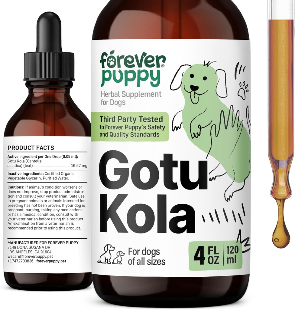 Des gouttes de Gotu Kola pour les chiens - Gotu Kola Extract & Centella Asiatica pour le soutien de la santé cérébrale - Supplément de cerveau nutritionnel pour les chiens de toutes races et tailles - 4 oz