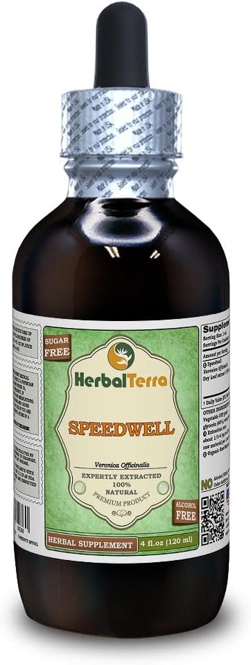 Speedwell (Veronica Officinalis) Glycérite, feuilles séchées organiques Extrait liquide sans alcool (marque : HerbalTerra, fièrement fabriqué aux États-Unis) 4 fl.oz (120 ml)