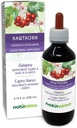 Naturalma Hawthorn (Crataegus oxyacantha) Teinture sans alcool et fleur - 6,76 fl oz Extrait liquide dans les gouttes - Supplément à base de plantes - végétalien