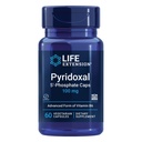Prolongation de vie Pyridoxal 5'-Phosphate Caps — Vitamine B6, 100 mg, Bioactif B6 pour la santé cardiovasculaire, rénale et nerveuse — sans gluten, non OGM, végétarienne — 60 capsules végétariennes