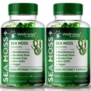 WELLNESS LABSRX Sea Moss Gummies, 3200mg Irish Sea Moss Mixted Berry Flavor avec la puissance maximale Bladderwrack et la racine de dock - supporte la peau, l'énergie et l'immunité - 180 Compte