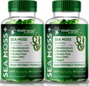 WELLNESS LABSRX Sea Moss Gummies, 3200mg Irish Sea Moss Mixted Berry Flavor avec la puissance maximale Bladderwrack et la racine de dock - supporte la peau, l'énergie et l'immunité - 180 Compte