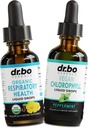 Lung Detox Respiral Health Drops & Chlorophyll Liquid - Suppléments respiratoires organiques Herbal Lung Cleanse Mullein for Lungs Bronchial Support - Chlorophylle Drops Odor Cleanse Déodorant interne