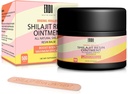 Résine de Shilajit avec/acide sulfurique et minéraux traces, 100% chilajit pur avec 85+ gel supplément d'acide humique, augmentation du métabolisme, énergie et système immunitaire - 100 portions / 60g par portion 1,67oz