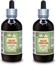Blue Vervain (Verbena hastata) Glycerite, Organic Dried Above-Ground Parts Alcohol-Free Liquid Extract (Brand Name: HerbalTerra, Proudly Made in USA) 2x4 fl.oz (2x120 ml)