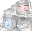 TUDCA+ Fadogia Agresti Salt Supplement pour le soutien du foie, Extrait de Potent pour augmenter l'énergie, la performance et la masse musculaire (60 capsules)