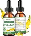 Mullein gouttes pour les poumons, puissant nettoyage pulmonaire détox pour fumeur, Mullein biologique et gouttes de chlorophylle pour les poumons, Mullein Leaf Extract pour le poumon et Bronchia, Santé respiratoire, Imune Boost 2 FL/OZ
