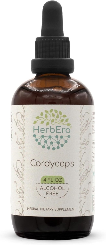 Cordyceps B120 Teinture d'extrait d'herbe sans alcool, gouttes liquides concentrées Cordyceps naturels Militaris Champignon séché (4 fl oz)