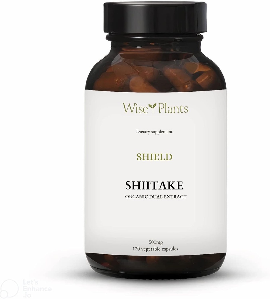 Supplément de champignons chiitake. Dual Extract, Corps de Fruit pur, 30% Polysaccharides, 500 mg, 60 jours d'approvisionnement. Peut soutenir une fonction immunitaire saine et promouvoir la santé cardiaque.