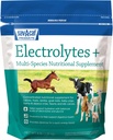 Sav-a-Caf Electrolytes Plus™ Supplement | 6 Pound (6 LB) Bag