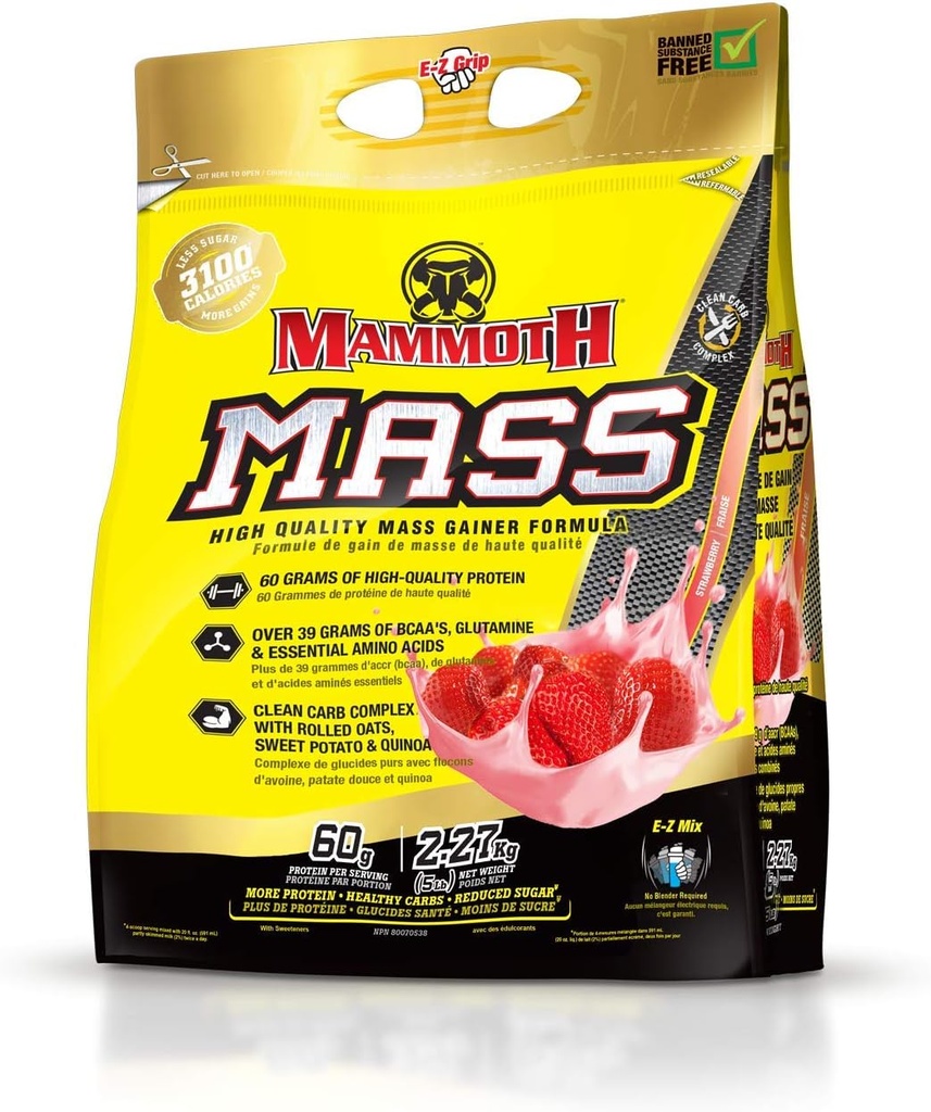 MAMMOTH Mass: gain de poids, haute teneur en protéines de calories poudre d'entraînement Smoothie Shake, substitut de repas, sucre faible, lactosérum isolat, mélange de protéines de caséine, haute teneur en protéines (Strawberry, 5lb)