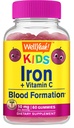 Eh bien oui Gommies de fer pour les enfants avec vitamine C - Soutien à l'anémie, Formation de globules rouges, Énergie, et Immunity Support Gummy, Suppléments de fer pour les enfants - Sans OGM, Saveur de raisin naturel - 60 comte