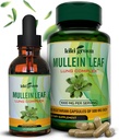 KIKI Capsules de Mullein Vert et gouttes liquides - Suppléments d'extrait de feuille de Mullein, 90 capsules + 2 fl oz - pour le soutien respiratoire et immunitaire, une meilleure fonction pulmonaire, le nettoyage pulmonaire et le soulagement
