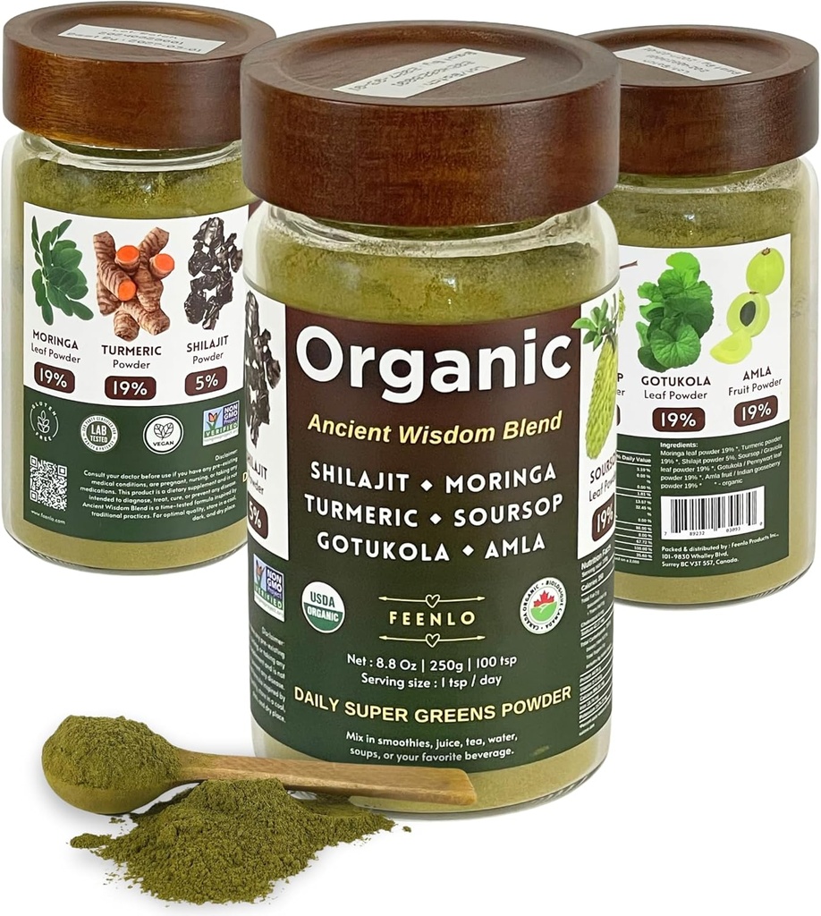 Moringa biologique non OGM, Shilajit, Turmeric, Sourop, Gotukola et Amla Green Juice Blend en poudre, 3 mois d'approvisionnement