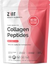 Zint Collagen Peptides Poudre: Paleo & Keto Certifié - Granulated Collagen Hydrolysate Types I et III pour l'absorption améliorée - Protéines hydrolysées enzymatiquement pour les femmes et les hommes, 16 oz