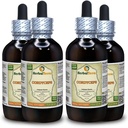Cordyceps (Cordyceps Sinensis) Teinture, extrait liquide de poudre de champignons séchés organiques (marque : HerbalTerra, fièrement fabriqué aux États-Unis) 4x4 fl.oz (4x120 ml)