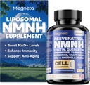 Supplément NMNH - 500mg par service, stimule NAD+ Niveaux, supplément NAD soutient la santé immunitaire et anti-âge, 60 capsules