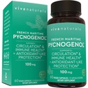 Viva Naturals Pycnogenol - 100mg Extrait d'écorce de pin Maritime français – soutient la circulation, l'activité antioxydante, les articulations et l'immunosanté et la fonction – 60 capsules de légumes