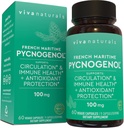 Viva Naturals Pycnogenol - 100mg Extrait d'écorce de pin Maritime français – soutient la circulation, l'activité antioxydante, les articulations et l'immunosanté et la fonction – 60 capsules de légumes