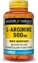 MASON NATURAL L-Arginine 500 mg avec du calcium- soutient la circulation saine et la fonction vasculaire, supplément à l'oxyde nitrique, 60 capsules