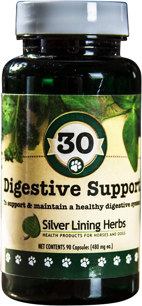 Silver Lining Herbs Dog Digestive Support – Dog Supplements for Healthy Digestion & Gut Function - Natural Herbal Blend Dog Vitamins with Slippery Elm Bark, Ginger & More – 90 Capsules