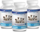 dog urinary incontinence treatment - DOG URINARY TRACT SUPPORT - NATURAL CRANBERRY SOLUTION - BLADDER HEALTH - VET RECOMMENDED - dog cranberry urinary - 3 Bottle (270 Treats)