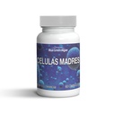 Cellule souches - Supplément Celulas Madres pour Anti-Age & Longévité, Non-OGM, Sans gluten, Capsules végétariennes, 60 Compte