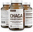 100% Real Wild Chaga Mushroom & Aged Black Ail Capsules en poudre — Antioxydant et supplément de soutien immunitaire