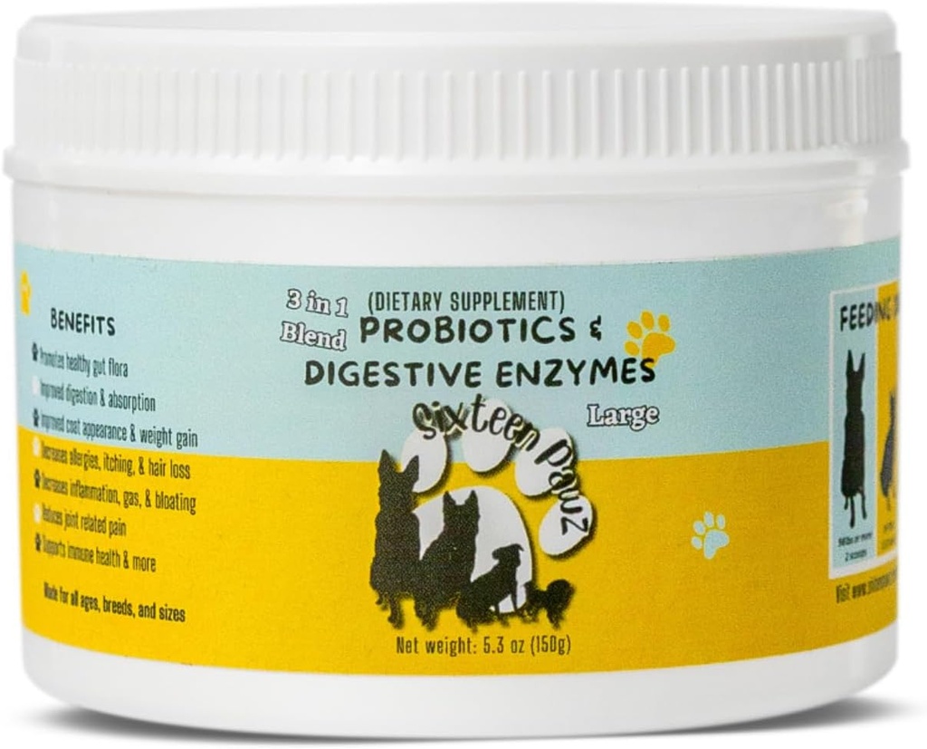 Probiotiques, prébiotiques, et enzymes digestives pour les chiens