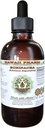 Echinacea Extrait liquide sans alcool, Echinacea (Echinacea Angustifolia) Glycérite séchée à la racine Hawaii Pharm supplément naturel à base de plantes 4 oz