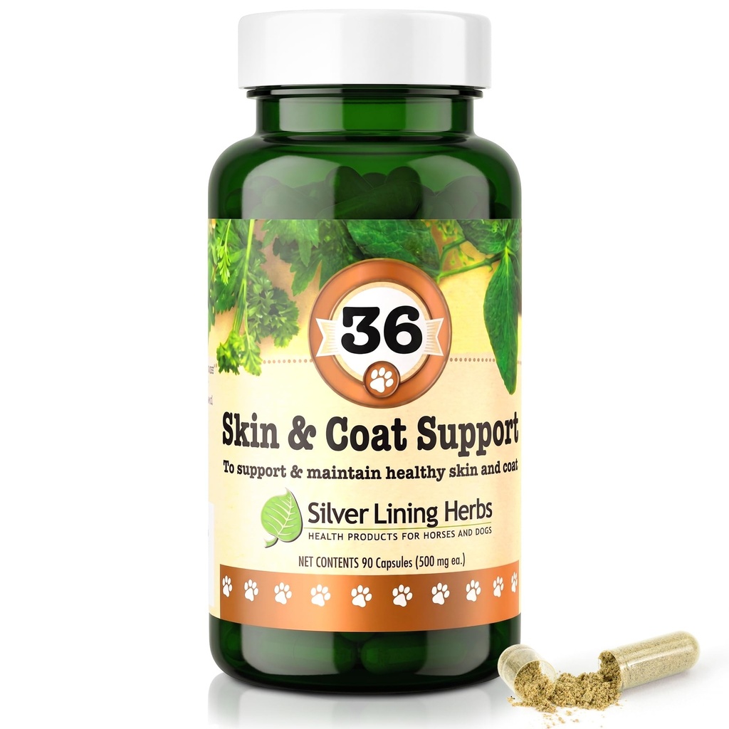 Herbes argentées à doublage 36 Canine Skin & Coat Support - Supplément naturel à base de plantes pour fortifier les chiens contre l'environnement - Supplément à base de plantes pour chiens - 90 capsules