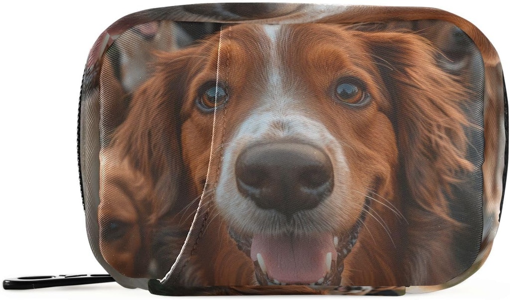 Groupe d'organisateurs de pilules hebdomadaires Chiens Golden Retriever Petit sac à pilules Portable Travel Pill Case 7 jours Support de supplément de vitamine avec fermeture éclair pour le camping familial
