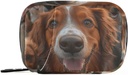 Groupe d'organisateurs de pilules hebdomadaires Chiens Golden Retriever Petit sac à pilules Portable Travel Pill Case 7 jours Support de supplément de vitamine avec fermeture éclair pour le camping familial